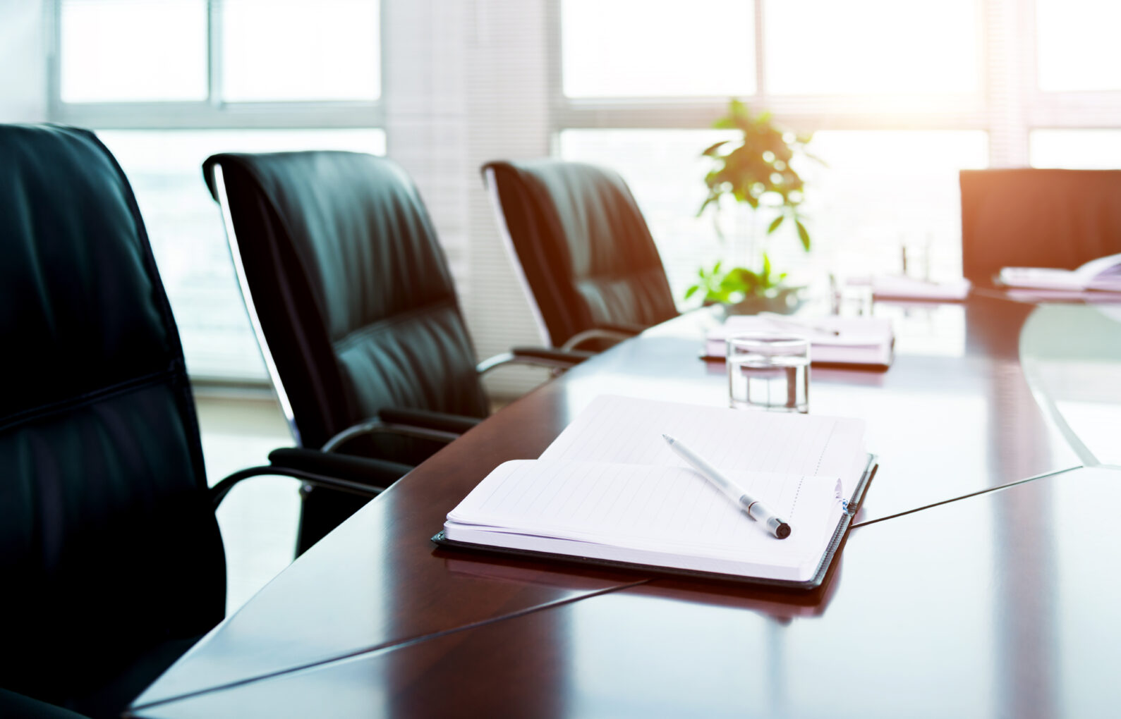 Non Executive Directors Non Executive Directors